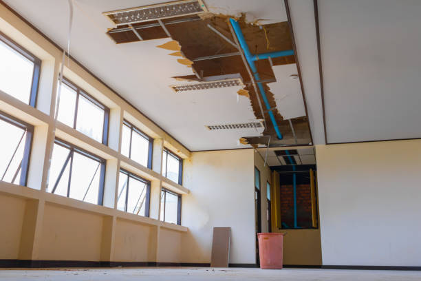 Best Water damage restoration near me  in Wormleysburg, PA