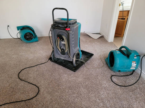 Best Water damage restoration near me  in Wormleysburg, PA