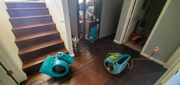 Best Water damage cleanup near me  in Wormleysburg, PA