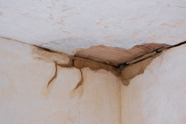 Best Water damage restoration near me  in Wormleysburg, PA