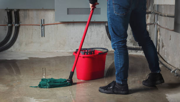 Best Flood damage cleanup  in Wormleysburg, PA